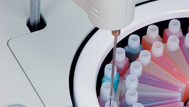 Pictus_700_Dau_Kim_do